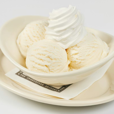 Bowl of Vanilla Ice Cream