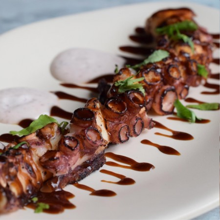 Tentaculo de Pulpo a la Parrilla - Aperitivo