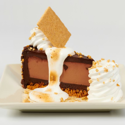 Toasted Marshmallow SMores Galore