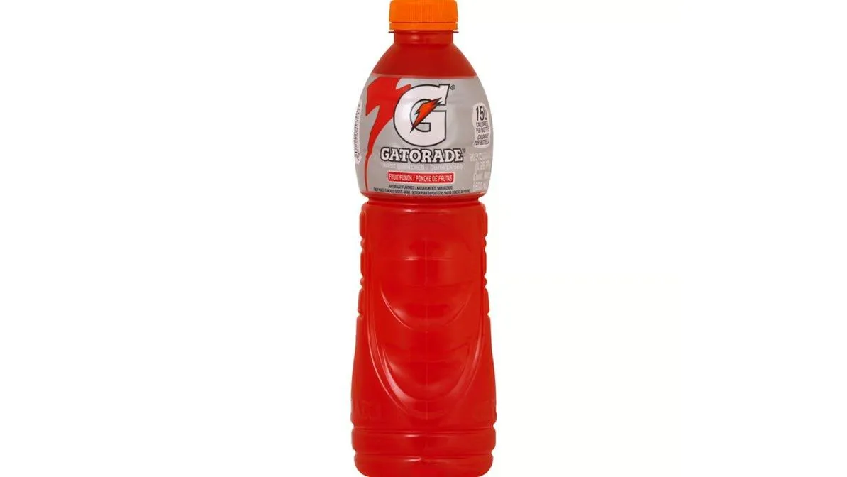 Gatorade Fruit Punch 20.3 Oz